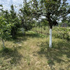 Casă dublă + teren 1.507 mp, proximitate Curtea de Apel, Alba Iulia thumb 26